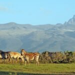Mount-Kenya-National-Park